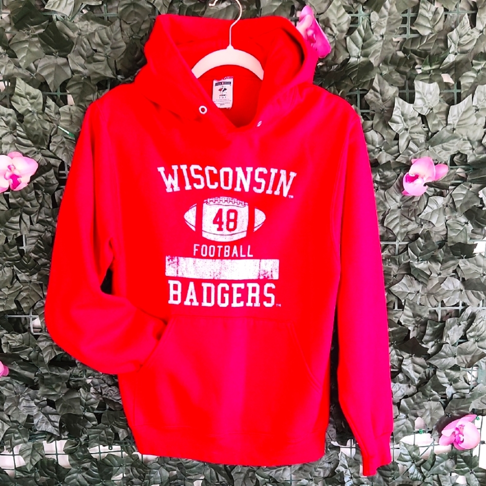 Red Wisconsin Badgers Hoodie Y2K Vintage